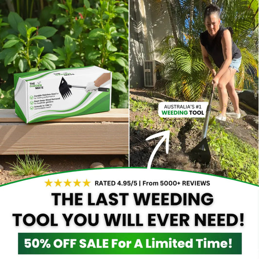 Ziqoot-manual weeder and soil-loosener-home weeding and soil-loosening tool-labor-saving weeding tool